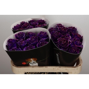 Wax-Rozen Wax Classic Purple