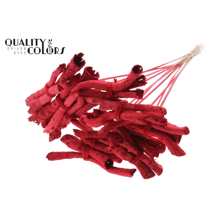 <h4>Gandiraj on stem Red</h4>