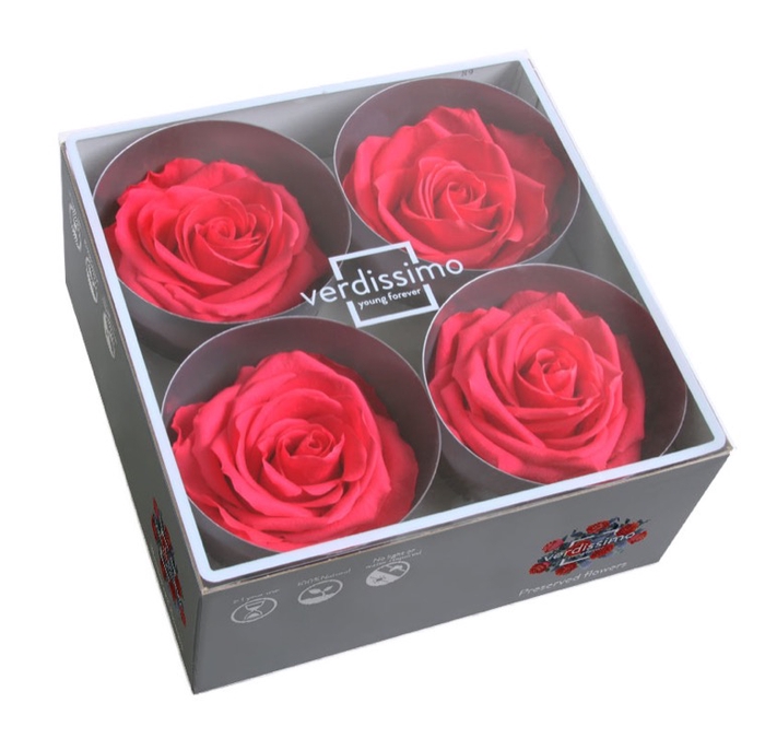 Roos premium dark pink