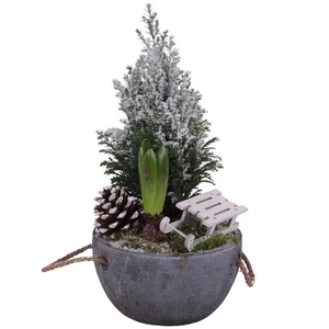 Winter Arr. Outdoor Ceramic Pot with Rope Handle Ø16cm 2PP