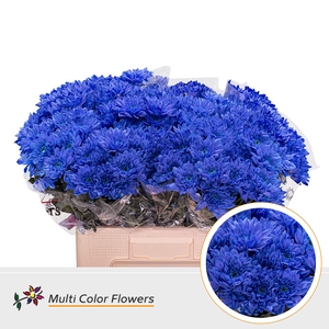 Chr T Baltica Blauw Donker