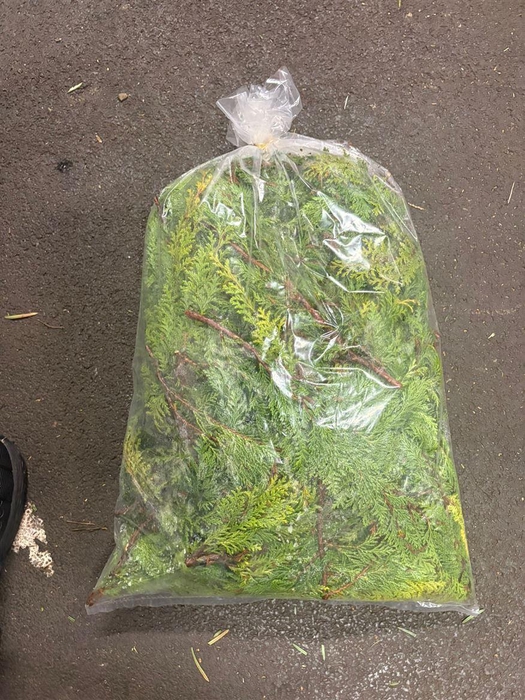 <h4>DEC Conifeer Zak Geel/groen</h4>