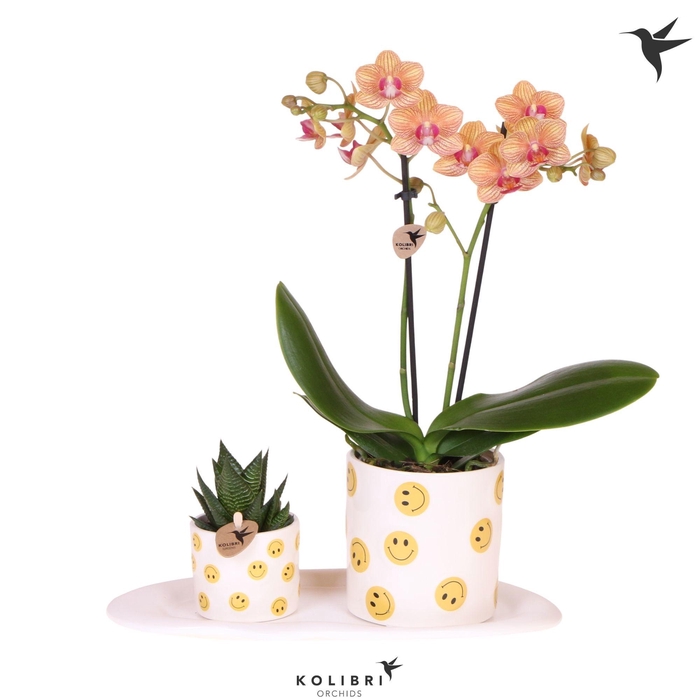 <h4>Kolibri Gift Set small Smiley</h4>