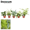 Varen mix 7 cm (Decorum)