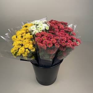 Bouquet Mono Santini mix