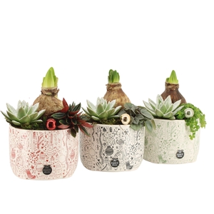 61595: X-mas arrangement