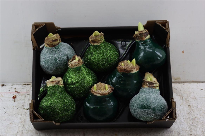 <h4>Wax Hipp Mix Groen</h4>