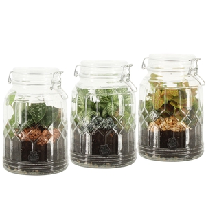 90718: Terrarium arrangement