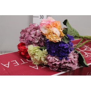 Hydr Premium Tinted Mix