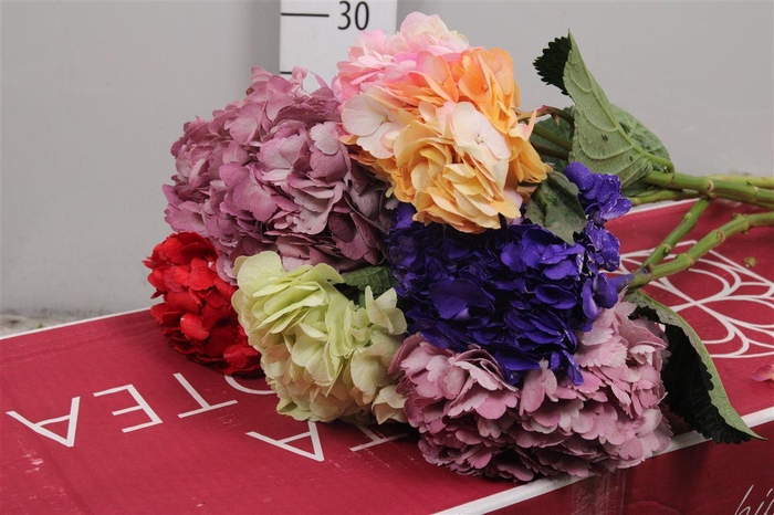 <h4>Hydr Premium Tinted Mix</h4>