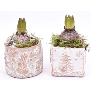 Cement met opdruk mix 9cm