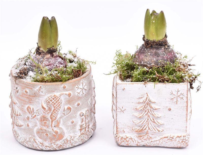 <h4>Cement met opdruk mix 9cm</h4>