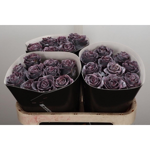 Wax-Rozen Wax Wit Zilver glitter