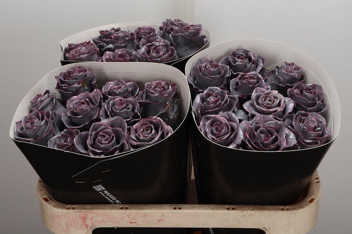 <h4>Wax-Rozen Wax Wit Zilver glitter</h4>