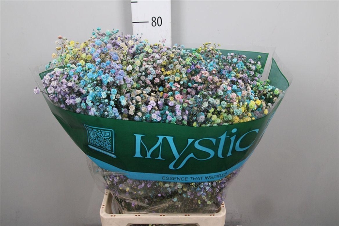 <h4>Gyps Rb Unicorn Blossom</h4>