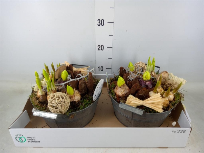 <h4>Arr.   Bol/Knolgewas L%</h4>