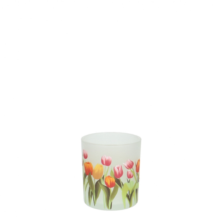 Candlelight Tulips d07*8cm