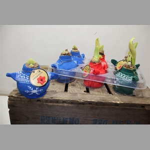 Bloembol Hipp In Gebreide Trui