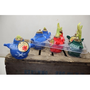 Bloembol Hipp In Gebreide Trui