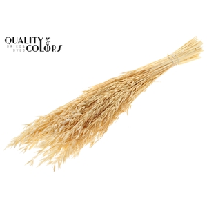 Avena per bunch Bleached