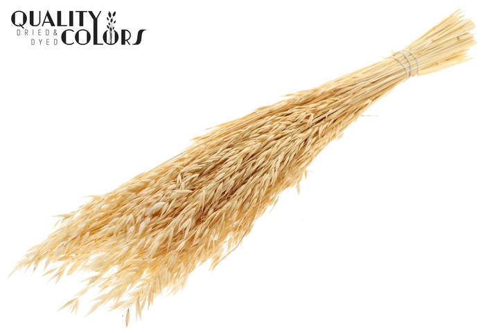 Avena per bunch Bleached