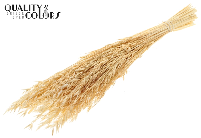 Avena per bunch Bleached