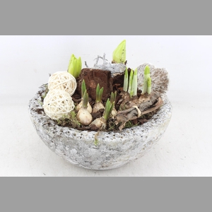 arr4 Bollenmix VL - Cement bolschaal L x2