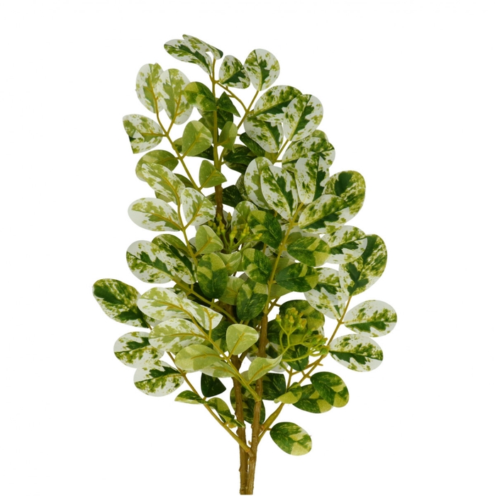 <h4>Kunstbloemen Ficus 70cm</h4>