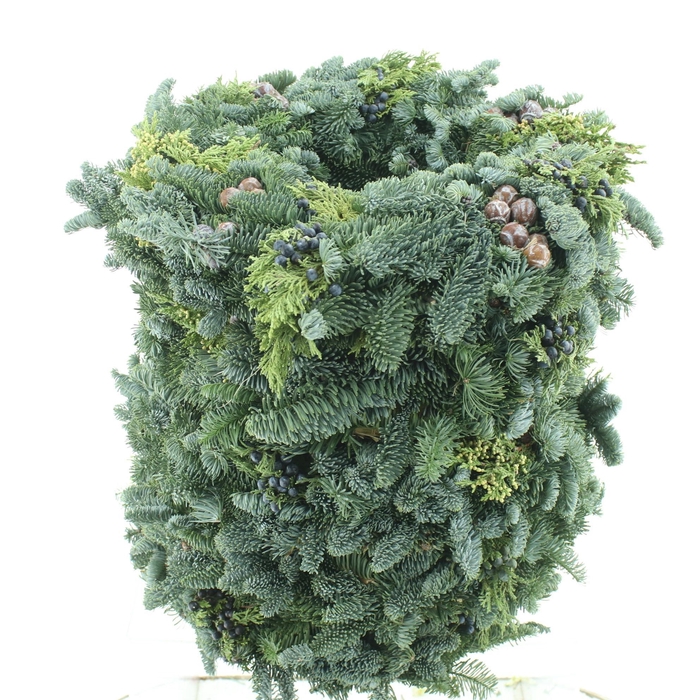 <h4>NOBILIS-KRANS H%</h4>