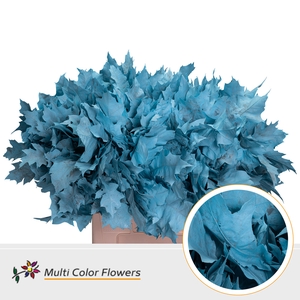 Eik Grof Frost Blauw Licht