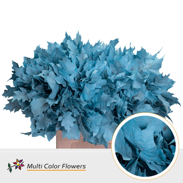 <h4>Eik Grof Frost Blauw Licht</h4>