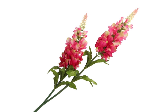 Silk Lavendel 2x Pink 90cm Nm