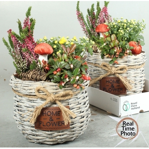 ARR GARDEN BASKET WHITE X2