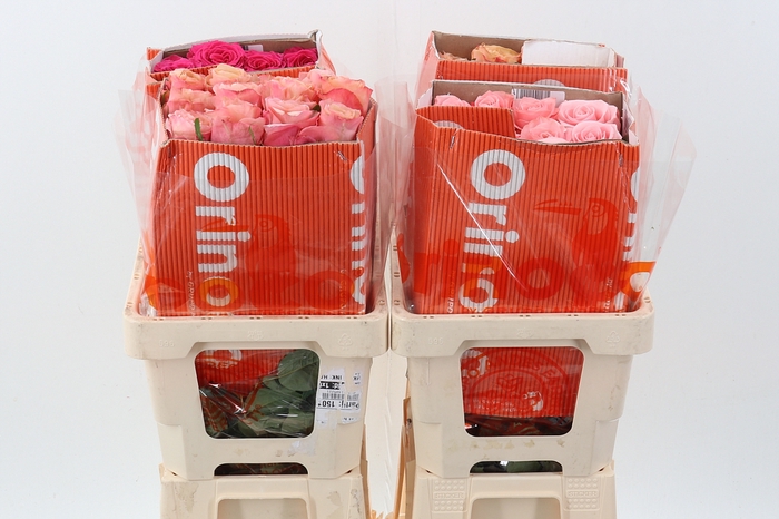 <h4>R Gr Mix fust CO</h4>