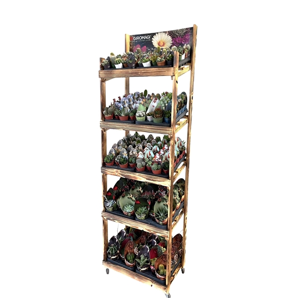 <h4>WOODEN DISPLAY 5 LAYERS - CHRISTMAS POTCOVERS: 60 PCS Ø5,5; 80 PCS Ø6,5; 44 PCS Ø10,5 (CACTUS EN SUCCULENTEN)</h4>