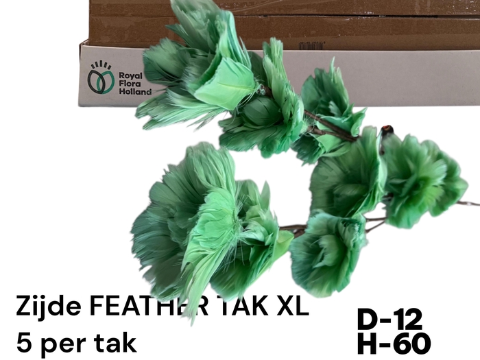 <h4>HUIS EN TUINDECO H%</h4>