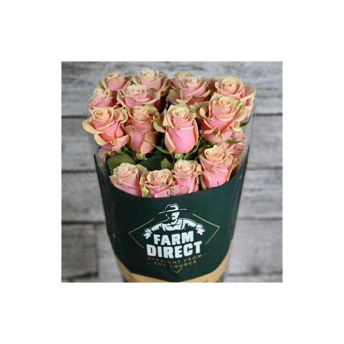 <h4>R Gr Pink Amaretto</h4>