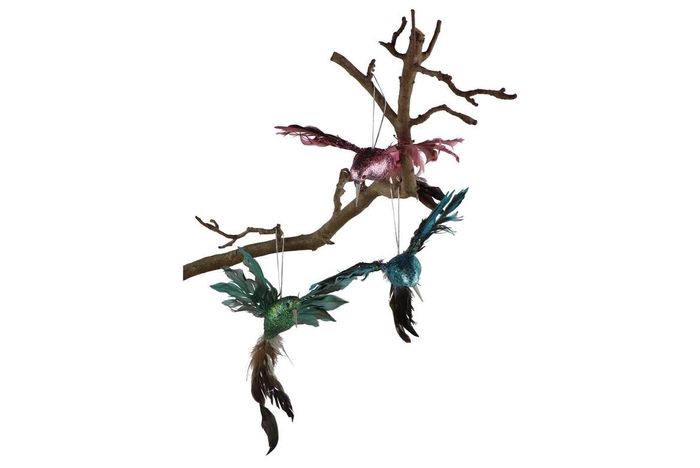 <h4>Deco Shine Bird Humming Multicolor 23cm Ass P/1 Nm</h4>