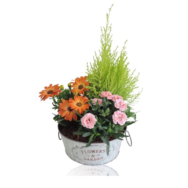 <h4>Collectie Dex Arrangement in Zinken Schaal 21 cm</h4>