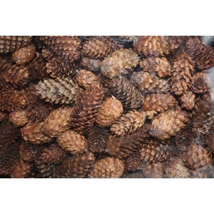 FIJNSPAR MINI 500 gr
