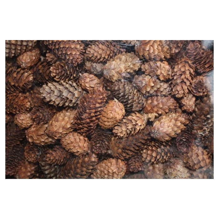 <h4>FIJNSPAR MINI 500 gr</h4>