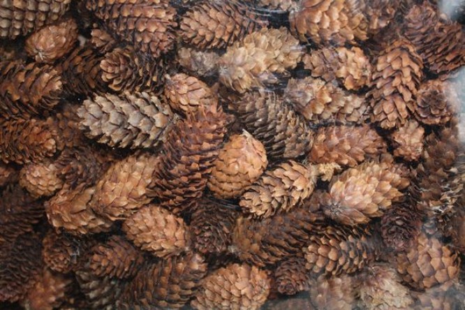 FIJNSPAR MINI 500 gr