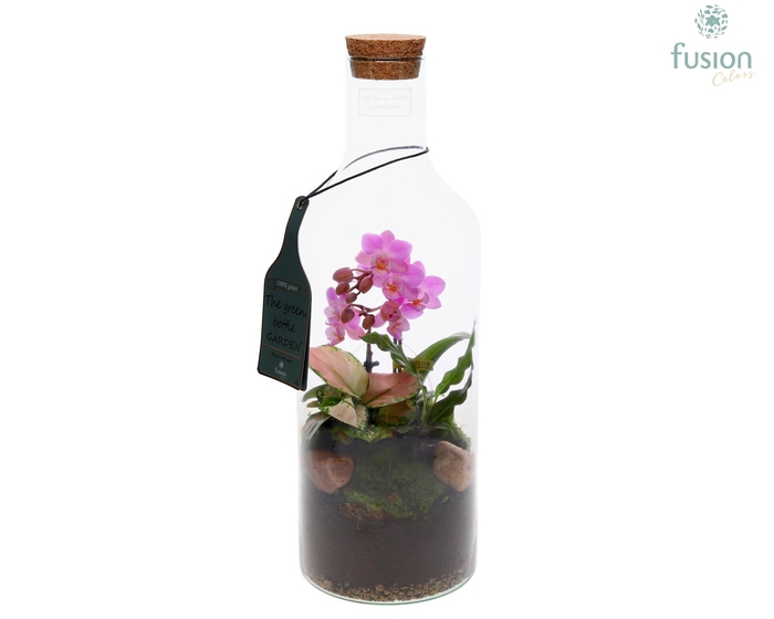 <h4>Green Bottle Fles Medium met Phalaenopsis arrangement</h4>