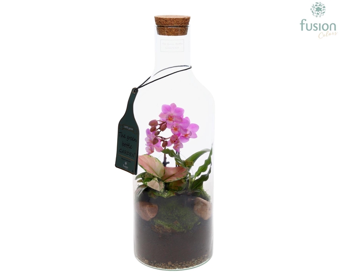 <h4>Green Bottle Fles Medium met Phalaenopsis arrangement</h4>