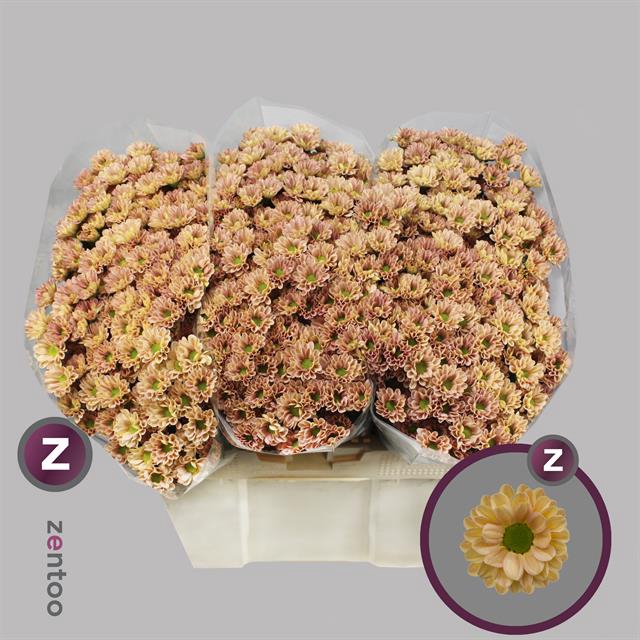 <h4>Chr. San Rossi Smokey 1150gr</h4>