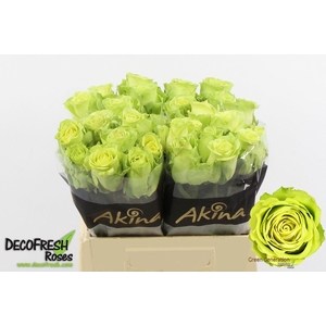 R GR GREEN GENERATIO