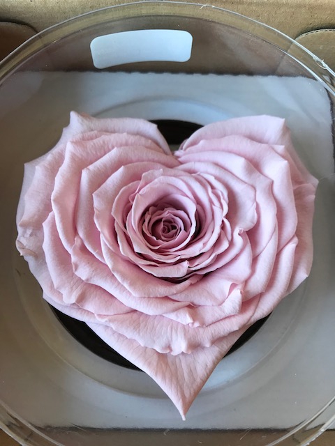 Hart XXL pin-04