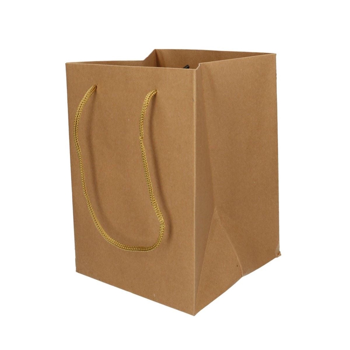 <h4>Bags Olympic 25*18*18cm BROWN</h4>