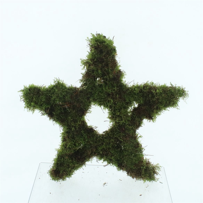 Moss Star Medium (closed)