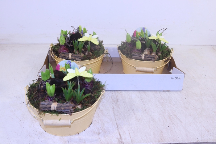 <h4>ARR BOL KNOLGEWAS</h4>